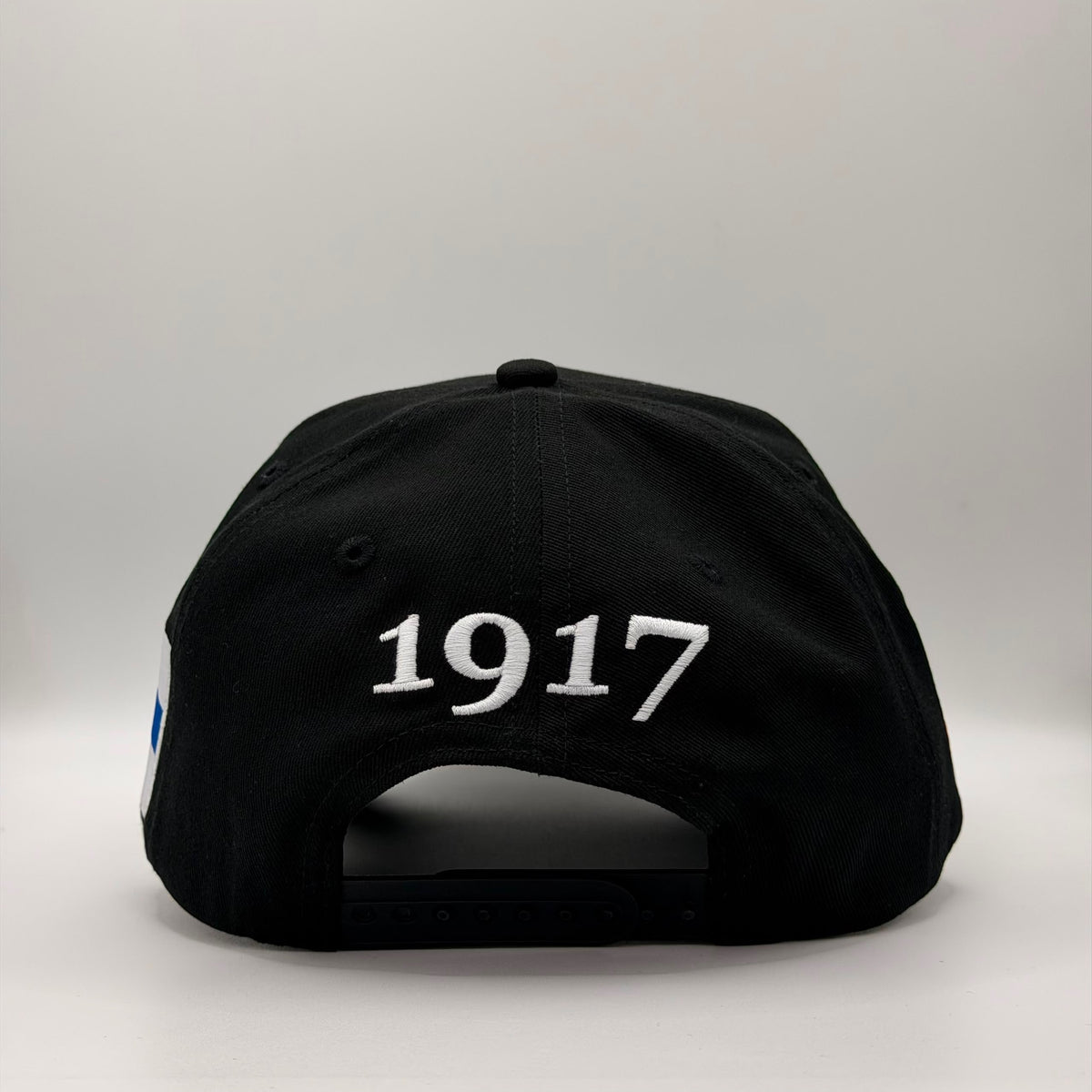 MFGA CAP